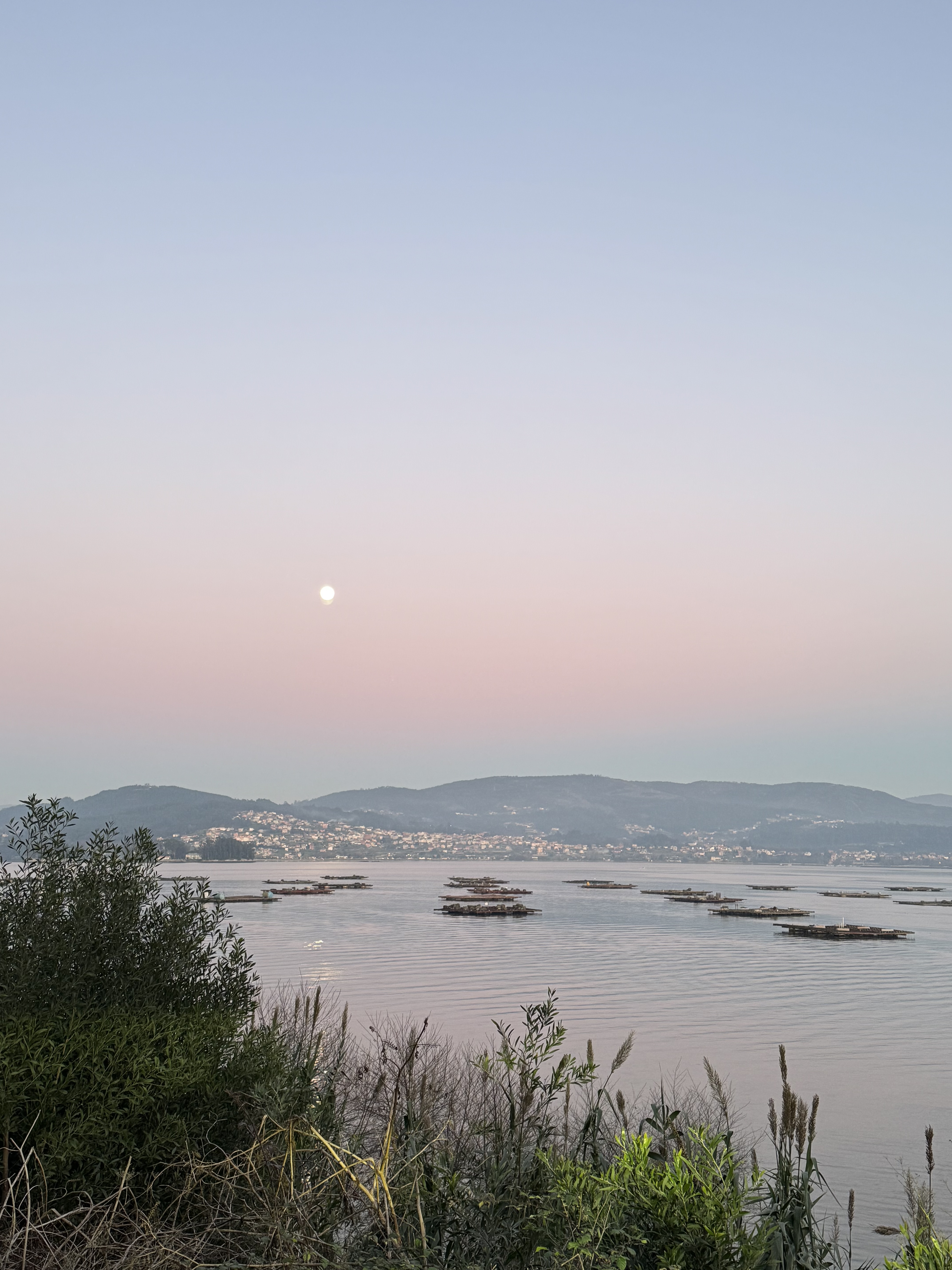 Bateas de mejillones en la Ría de Pontevedra, paisaje gallego del litoral